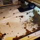 Image for article titled I'm In A Mad Dash To Fix My Long-Dead Jeep J10 By Friday's Toledo Jeep Fest